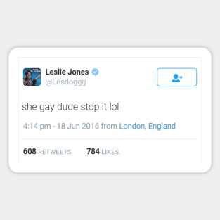 She gay dude stop it - Leslie Jones about Kate Mckinnon Sticker